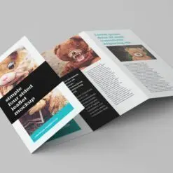 Tờ gấp - Leaflets, Brochures Leaflet Mockup 2