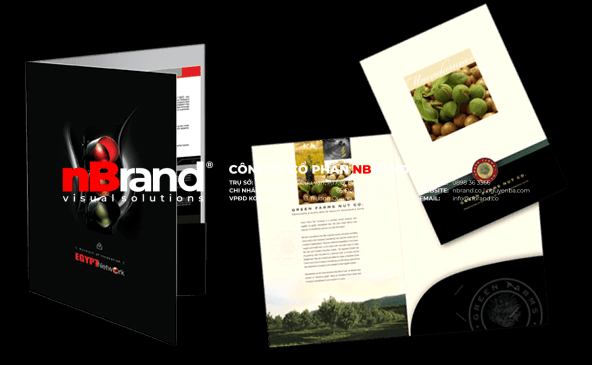 bd5 Bìa đựng hồ sơ - Folder bd5