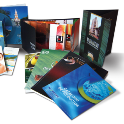 Tờ rơi - Flyers 15 Tờ rơi - Flyers tr6