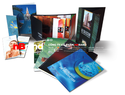 tr6 Tờ rơi - Flyers tr6