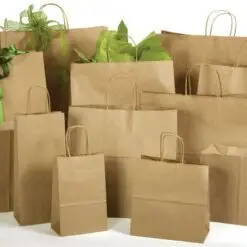 Túi giấy - Paper bags 21 Túi giấy - Paper bags tui10