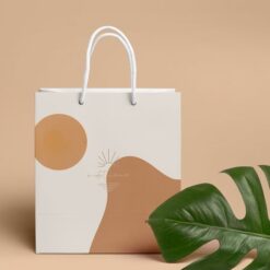 Túi Giấy Có Quai Xách - Paper Bags with Handles 16 Túi Giấy Có Quai Xách - Paper Bags with Handles 246c92e0869c84a8e2c010065a75fc05