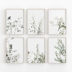Tranh Canvas 12 Tranh Canvas 97579f25499d8bc3d28c