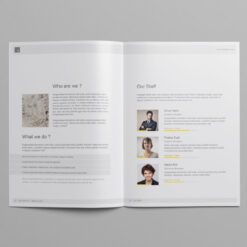 Hồ sơ năng lực - Business Brochure Company Proposal Template 3