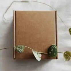 Hộp giấy Kcraft 13 Hộp giấy Kcraft Craft Paper Box Mockup 2 1024x922 1