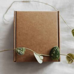 Hộp giấy Kcraft 13 Hộp giấy Kcraft Craft Paper Box Mockup 2 1024x922 1