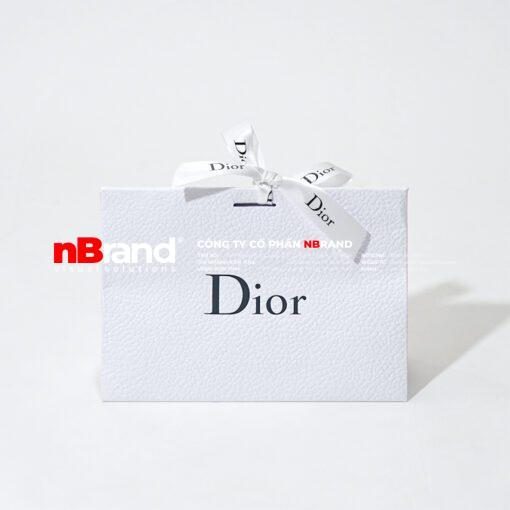 Túi Giấy Sang Trọng - Luxury Paper Bags DSC01777