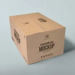Hộp Giấy Carton - Carton Box 12 Hộp Giấy Carton - Carton Box Packaging Box Mockup 2 1024x768 1