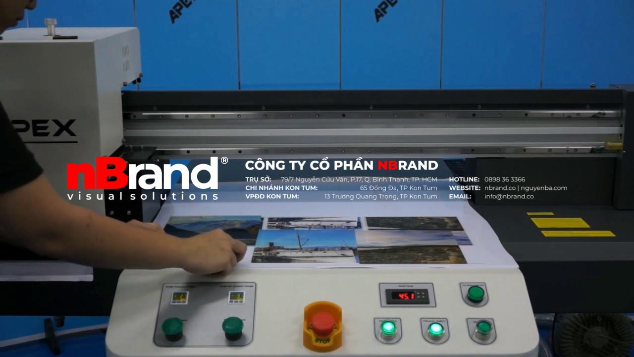 UV phẳng UV phẳng