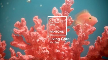Viện PANTONE công bố Màu của năm 2019 – Living Coral 00 resize designs vn 9837