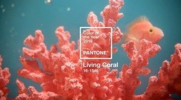 Viện PANTONE công bố Màu của năm 2019 – Living Coral 00 resize designs vn 9837