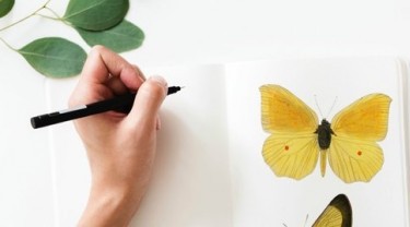 14 cây bút tốt nhất cho các họa sĩ trong năm 2019 14 cay but tot nhat cho cac hoa si trong nam 2019 designs vn