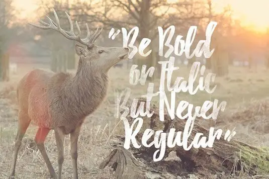 26 phông chữ chữ viết tay miễn phí tốt nhất (phần 2) 13 26-phong-chu-viet-tay-mien-phi-tot-nhat-18