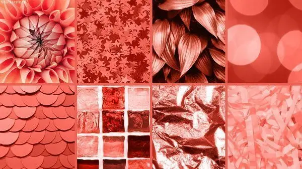 Viện PANTONE công bố Màu của năm 2019 – Living Coral 10 01