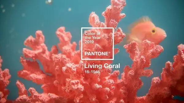 Viện PANTONE công bố Màu của năm 2019 – Living Coral 9 00