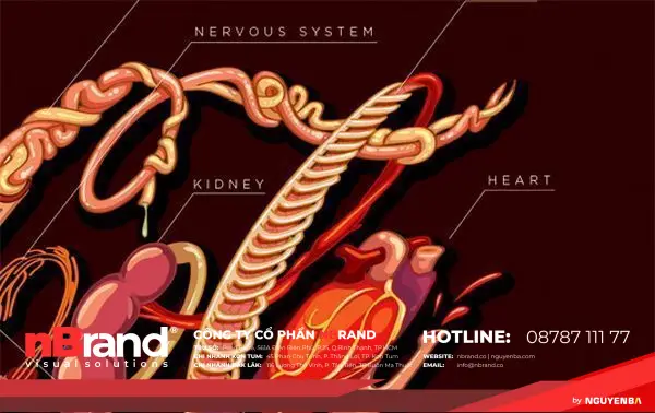 Coca-Cola ảnh hưởng xấu đến bạn như thế nào? 13 coke5
