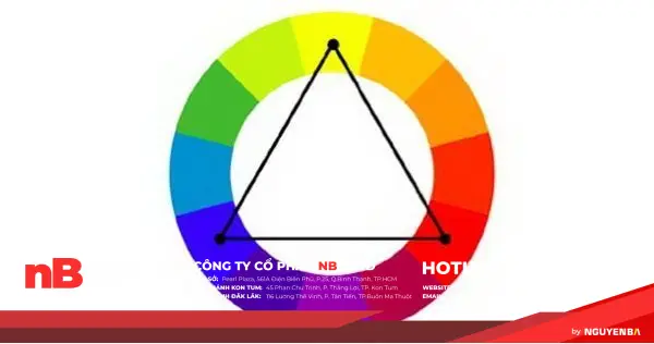 6 cách phối màu cơ bản trong thiết kế website 14 schemes7