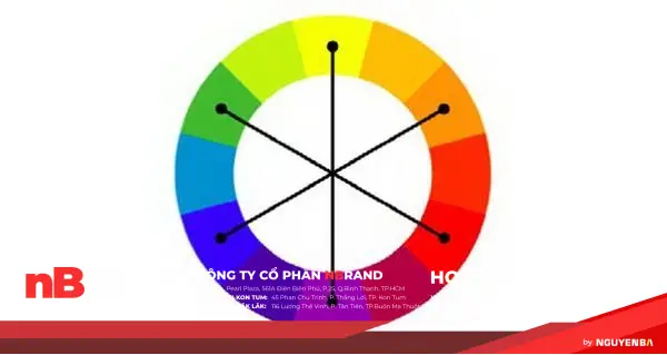 6 cách phối màu cơ bản trong thiết kế website 12 schemes5