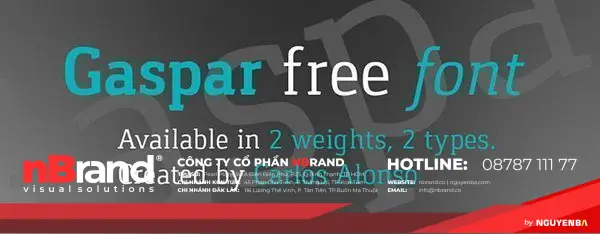 Xu hướng font chữ Serif hiện đại và phổ biến 23 phong serif