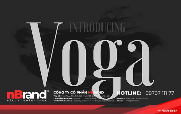 Xu hướng font chữ Serif hiện đại và phổ biến 17 phong serif