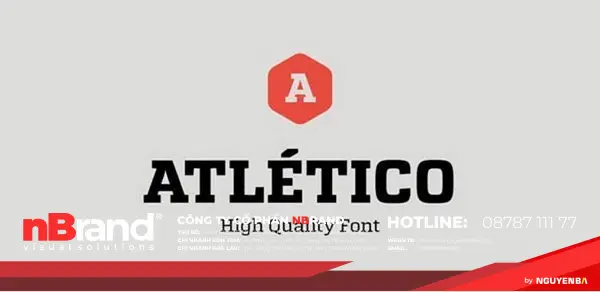 Xu hướng font chữ Serif hiện đại và phổ biến 13 phong serif