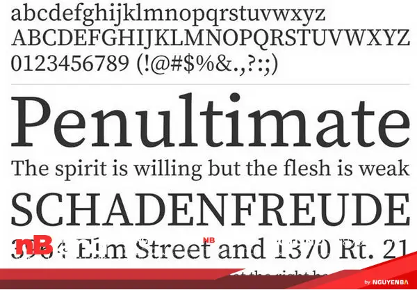Xu hướng font chữ Serif hiện đại và phổ biến 14 phong serif