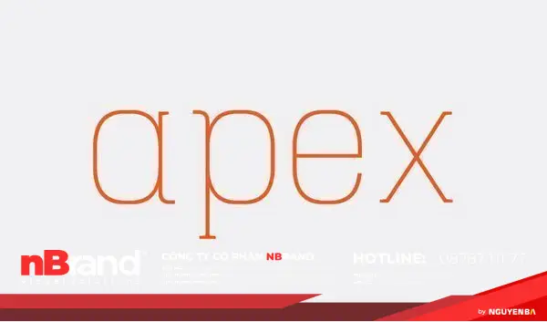 Xu hướng font chữ Serif hiện đại và phổ biến 18 phong serif