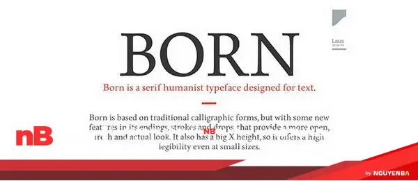 Xu hướng font chữ Serif hiện đại và phổ biến 29 phong serif