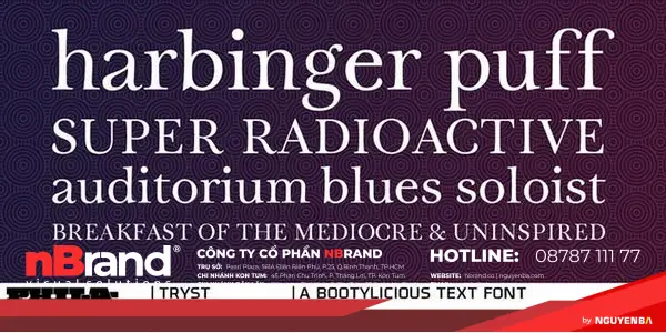 Xu hướng font chữ Serif hiện đại và phổ biến 32 phong serif