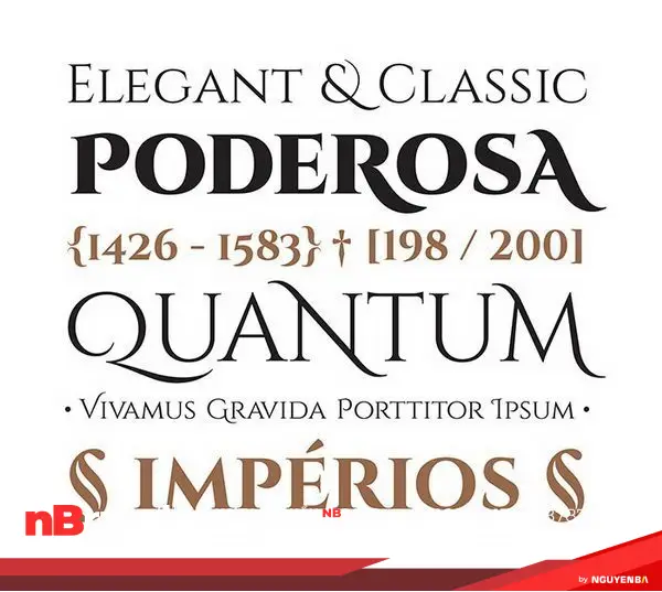 Xu hướng font chữ Serif hiện đại và phổ biến 35 phong serif