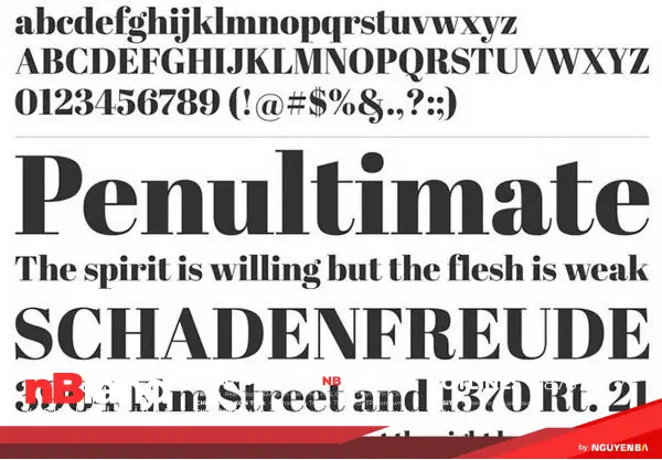 Xu hướng font chữ Serif hiện đại và phổ biến 36 phong serif