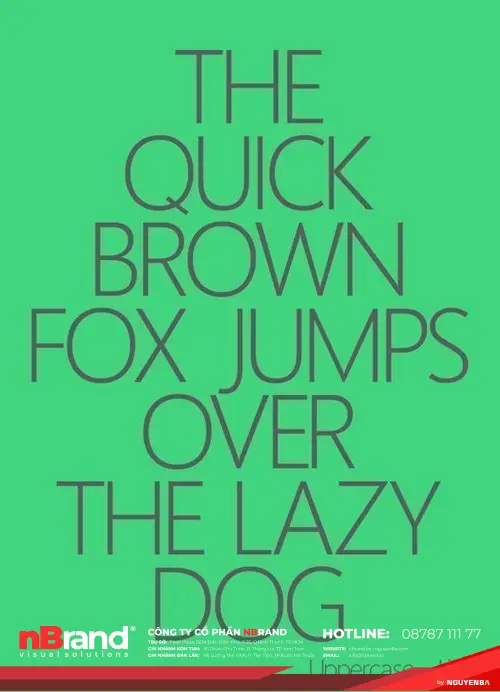 16 bộ font chữ đẹp dành cho những thiết kế dễ thương 11 16 bộ font chữ đẹp dành cho những thiết kế dễ thương 1679929670 846 16 bo font chu dep danh cho nhung thiet ke