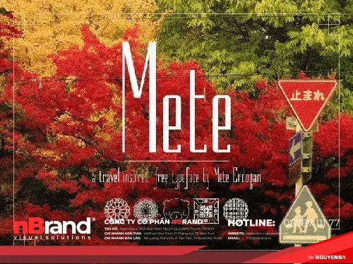 16 bộ font chữ đẹp dành cho những thiết kế dễ thương 24 16 bộ font chữ đẹp dành cho những thiết kế dễ thương 1679929671 315 16 bo font chu dep danh cho nhung thiet ke