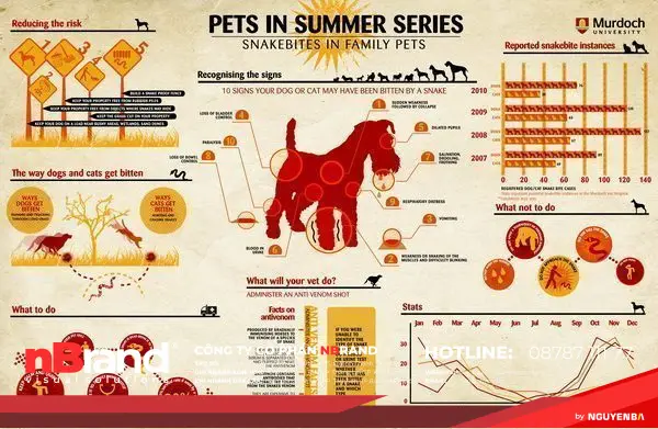 6 xu hướng thiết kế đồ họa nổi bật năm 2014 17 xu-huong-thiet-ke-do-hoa-2014