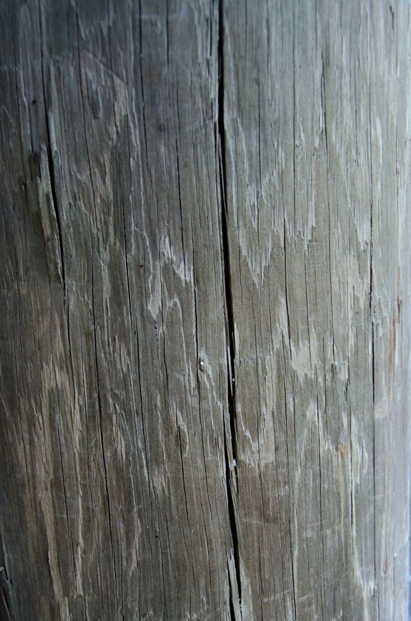 Chia sẻ texture gỗ và tường 1680101133 232 Chia se texture go va tuong