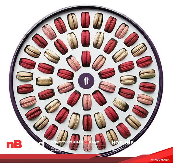 nhung-thietke-baobi-antuong-02