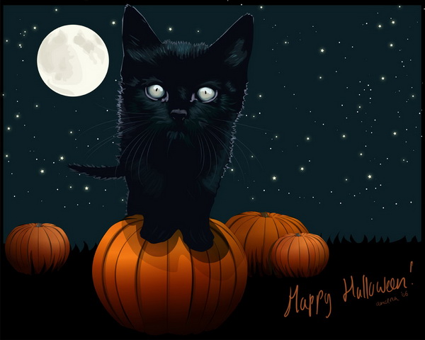 halloween 2014 background