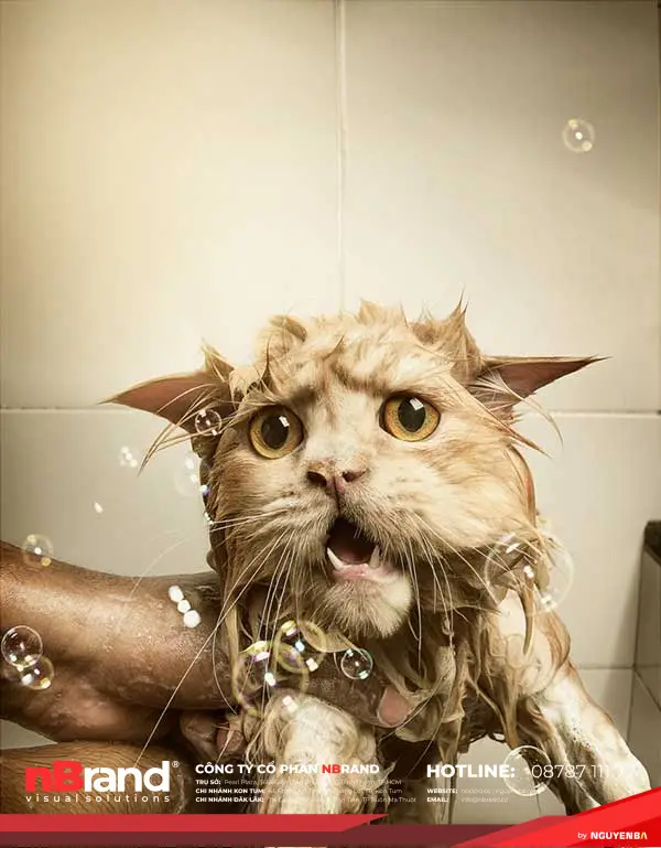 15 ý tưởng quảng cáo cực kỳ sáng tạo 22 nhung-y-tuong-quangcao-sangtao-14