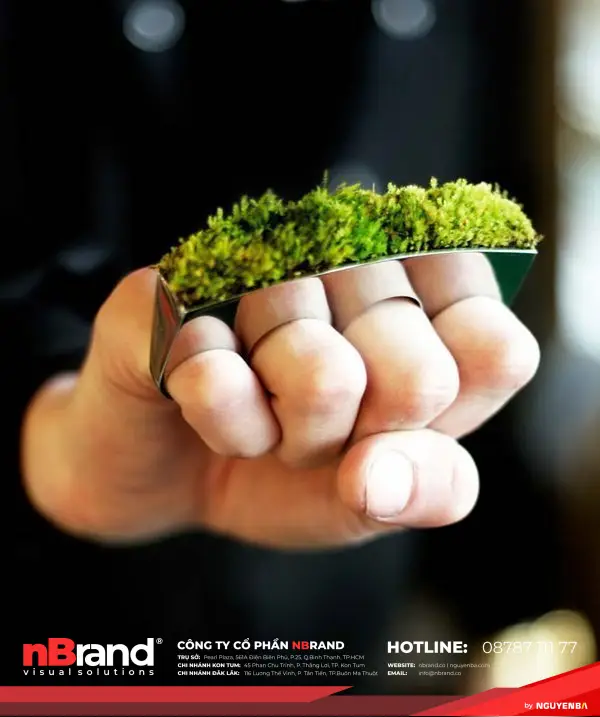 Độc lạ những ý tưởng xanh đến từ thiên nhiên 17 y_tuong_xanh_cam_hung_thien_nhien