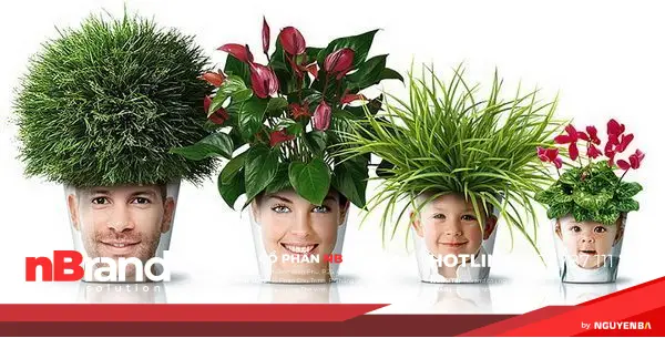 Độc lạ những ý tưởng xanh đến từ thiên nhiên 27 y_tuong_xanh_cam_hung_thien_nhien