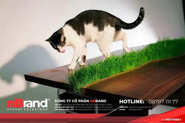 Độc lạ những ý tưởng xanh đến từ thiên nhiên 21 y_tuong_xanh_cam_hung_thien_nhien