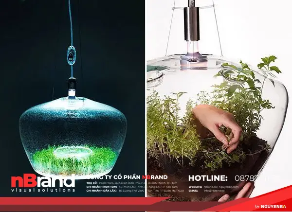 Độc lạ những ý tưởng xanh đến từ thiên nhiên 25 y_tuong_xanh_cam_hung_thien_nhien