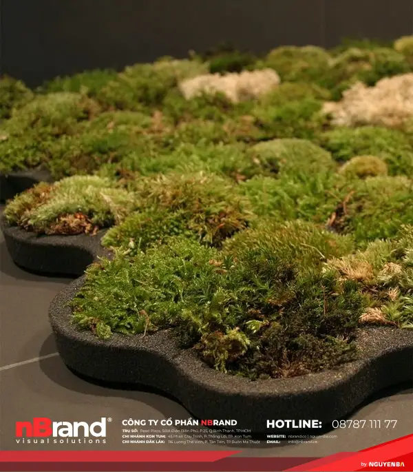 Độc lạ những ý tưởng xanh đến từ thiên nhiên 16 y_tuong_xanh_cam_hung_thien_nhien