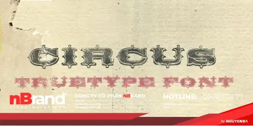 40 font chữ vintage dành cho những thiết kế cổ điển 27 Vintage-Font-designs.vn-19