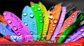 Thiết kế đồ họa và 1.000.000.000 thắc mắc 10 Thiết kế đồ họa và 1.000.000.000 thắc mắc graphic designqq