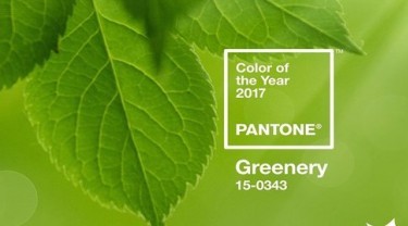 Màu sắc chủ đạo cho năm 2017: Greenery mau sac chu dao cho nam 2017 greenery1 designs vn