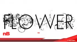 30 font chữ hoa dành cho những thiết kế đáng yêu 71 30 font chữ hoa dành cho những thiết kế đáng yêu anhdaidien 6581