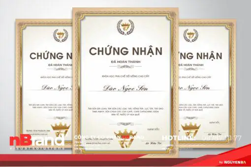 Chứng chỉ - Certificate 5
