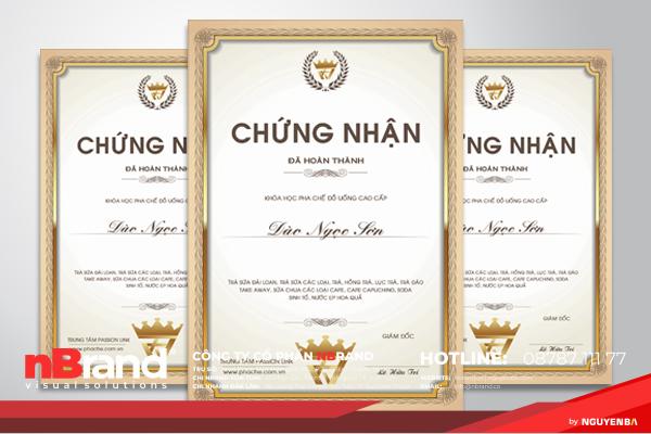 5 Chứng chỉ - Certificate 5