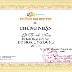 Chứng chỉ - Certificate in chung chi fpt in ngoc huong